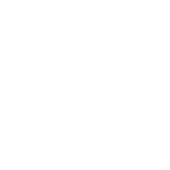 Focus Effect